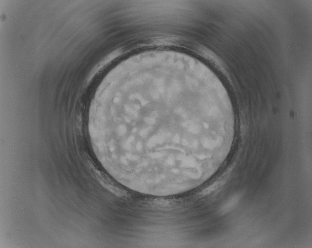 X0000067390827200604281840