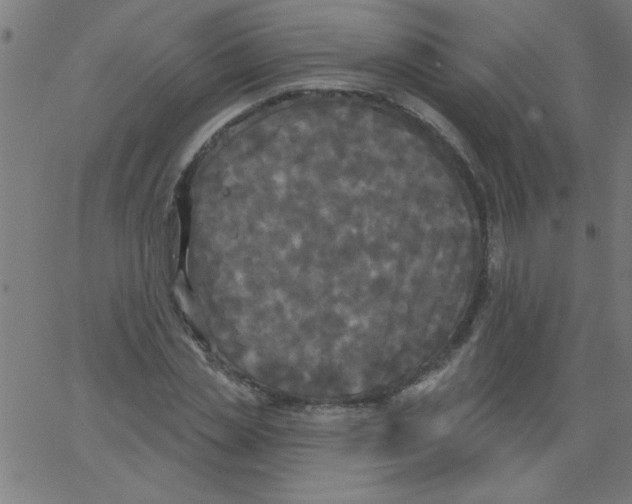 X0000067390829200604281840