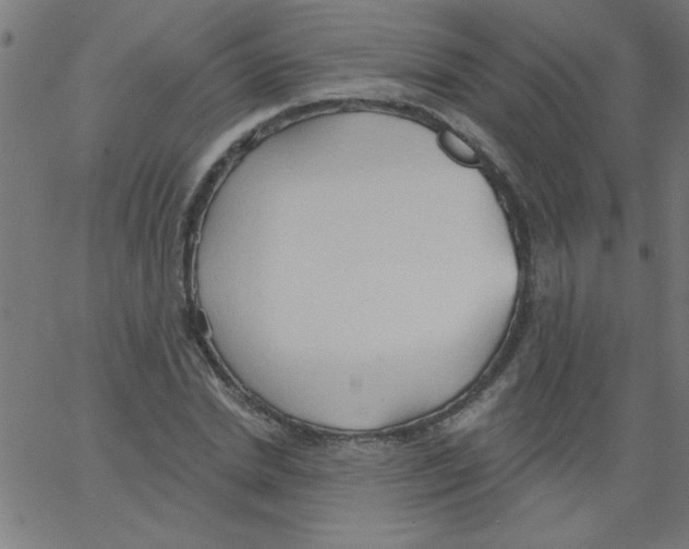 X0000067390830200604281840