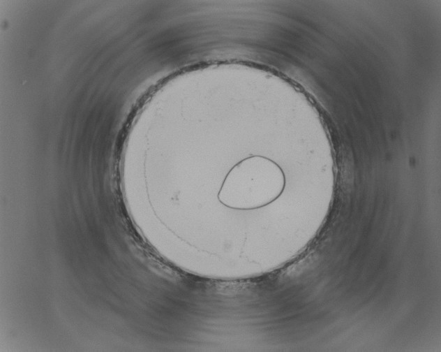 X0000067390832200604281840