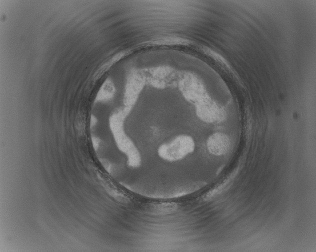 X0000067390833200604281840