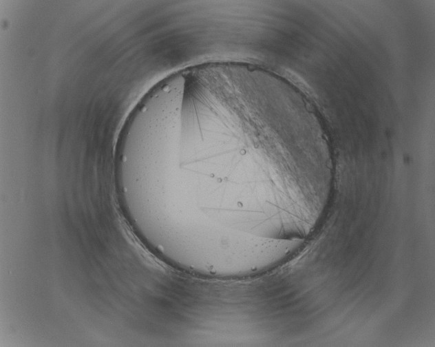 X0000067390836200604281840