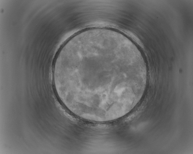 X0000067390839200604281840