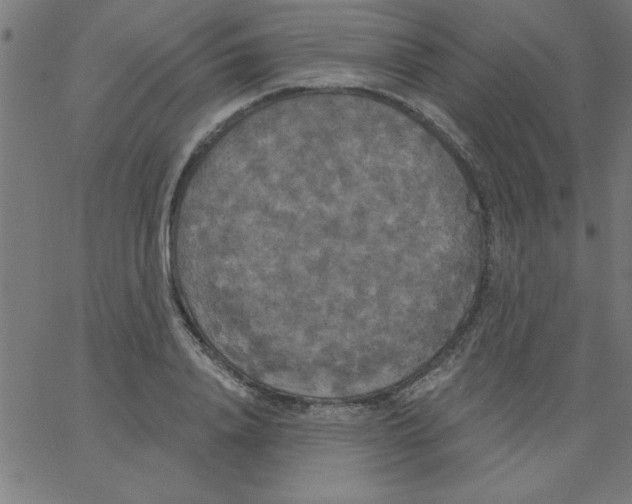 X0000067390840200604281840