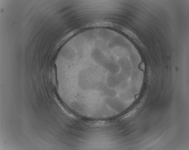 X0000067390841200604281840