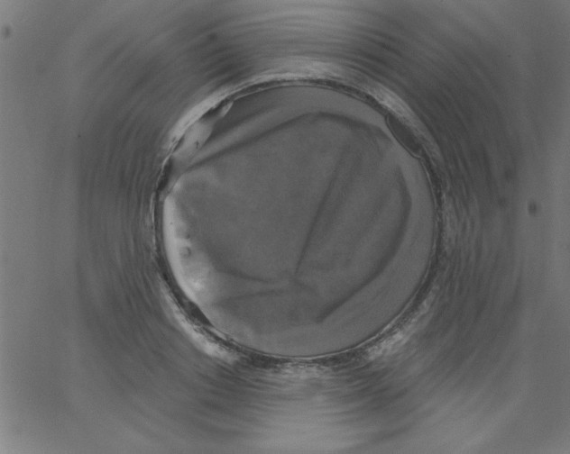 X0000067390842200604281840