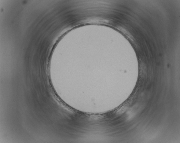 X0000067390848200604281840