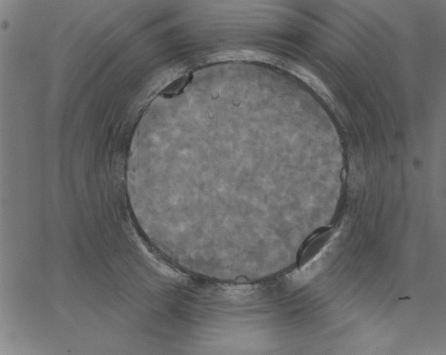 X0000067390849200604281840