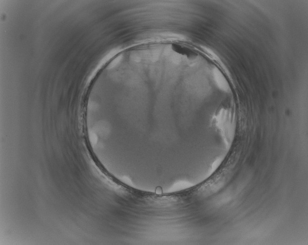 X0000067390851200604281840