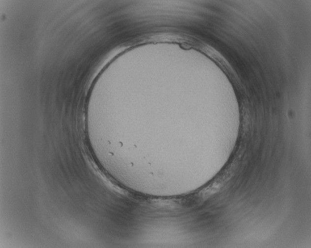 X0000067390852200604281840