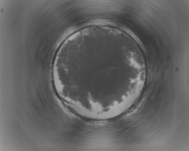 X0000067390853200604281840