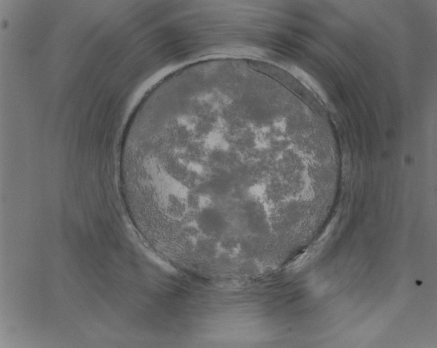 X0000067390854200604281840