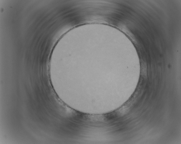 X0000067390856200604281840