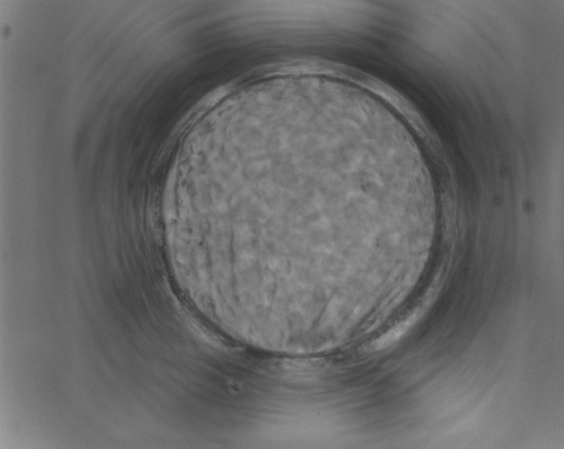 X0000067390857200604281840