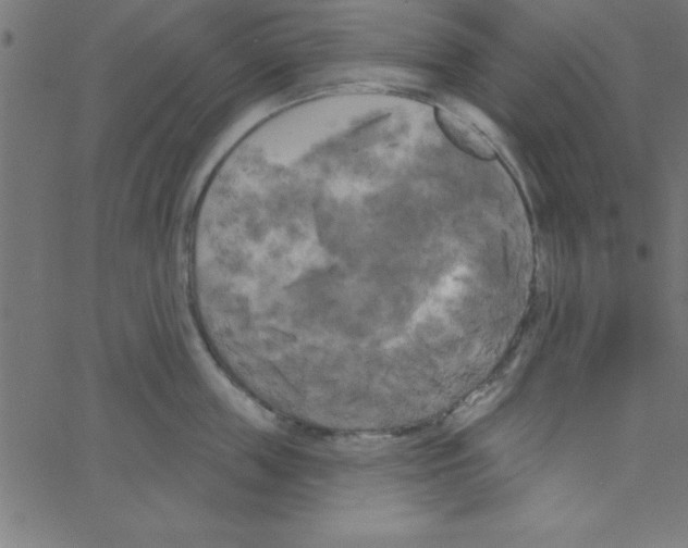 X0000067390859200604281840