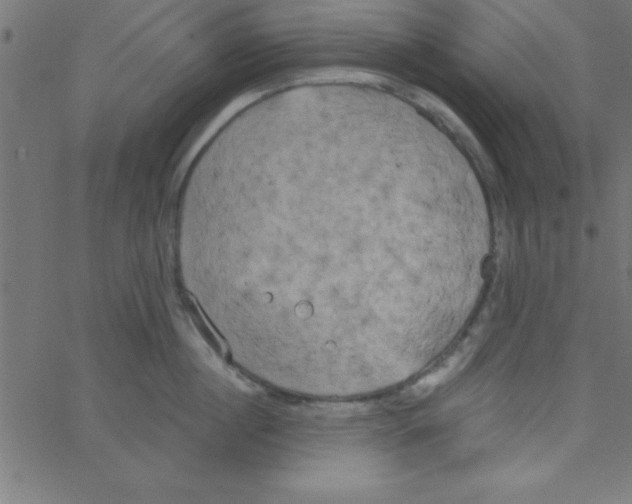 X0000067390860200604281840