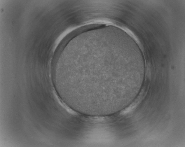 X0000067390862200604281840