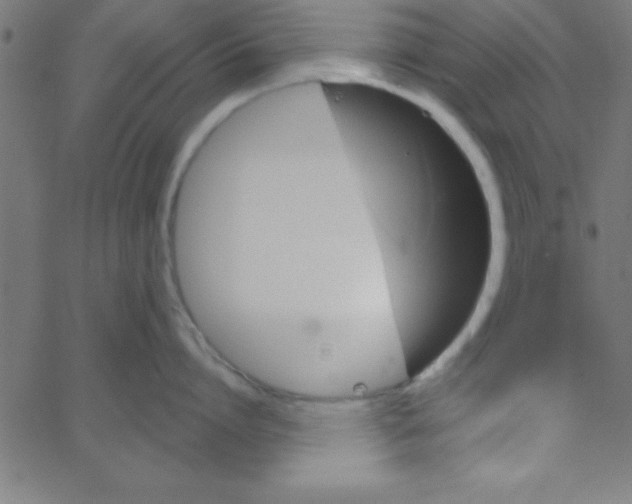 X0000067390864200604281840