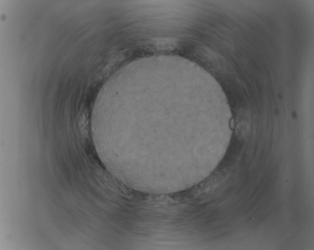 X0000067390866200604281840