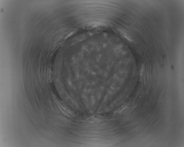 X0000067390868200604281840