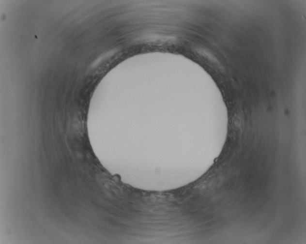 X0000067390869200604281840