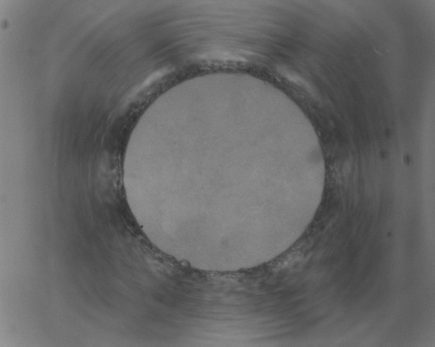 X0000067390870200604281840