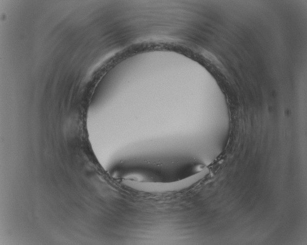 X0000067390872200604281840