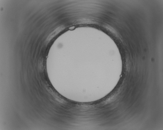 X0000067390873200604281840