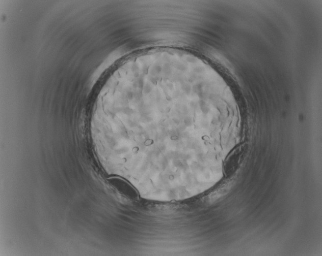 X0000067390875200604281839