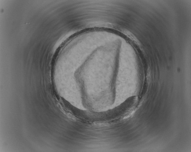 X0000067390877200604281839