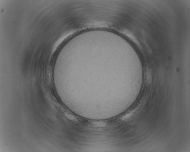 X0000067390878200604281839