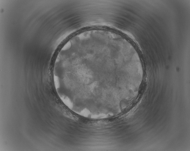 X0000067390879200604281839