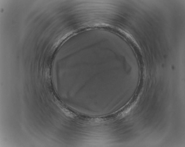 X0000067390881200604281839