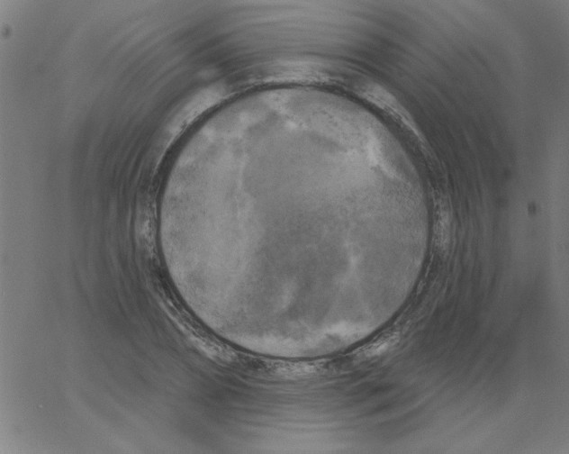 X0000067390882200604281839