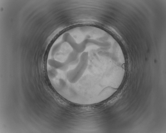 X0000067390883200604281839