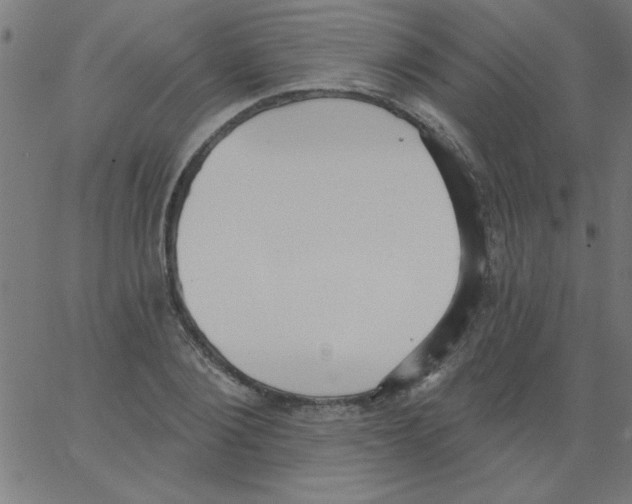 X0000067390884200604281839