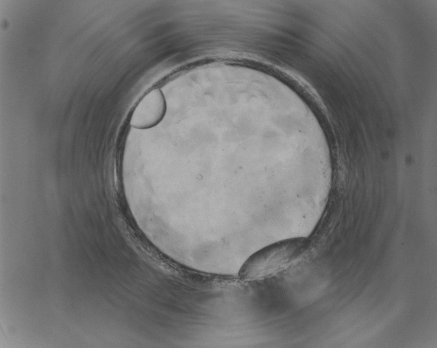 X0000067390887200604281839