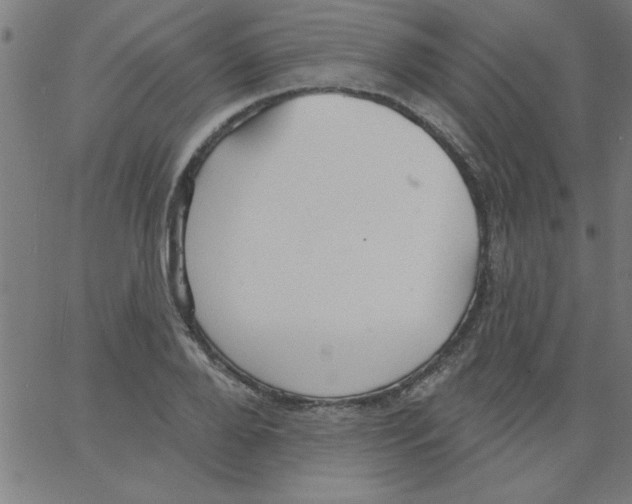 X0000067390888200604281839