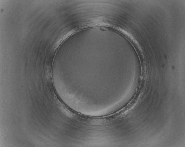 X0000067390889200604281839