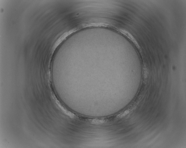 X0000067390890200604281839