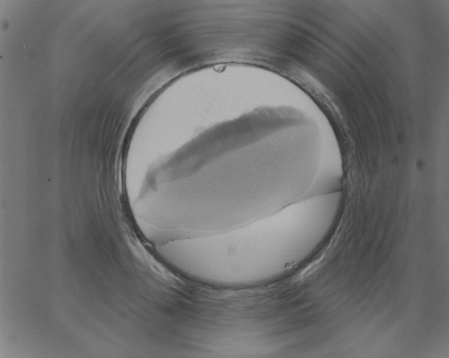 X0000067390892200604281839