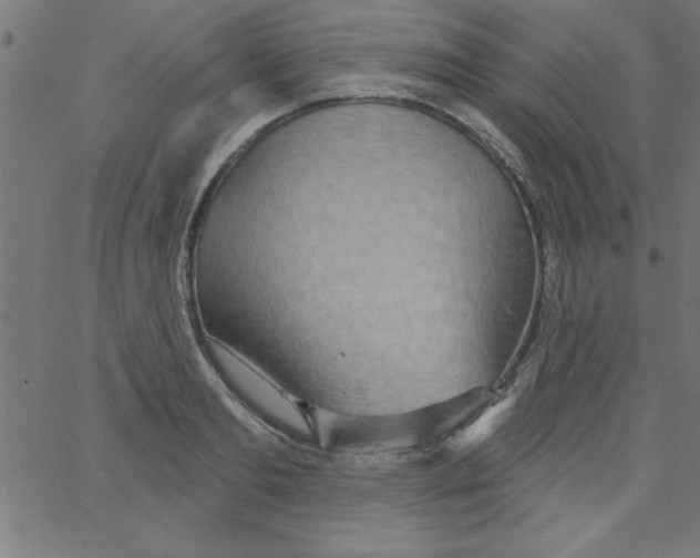 X0000067390893200604281839