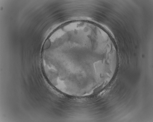 X0000067390895200604281839