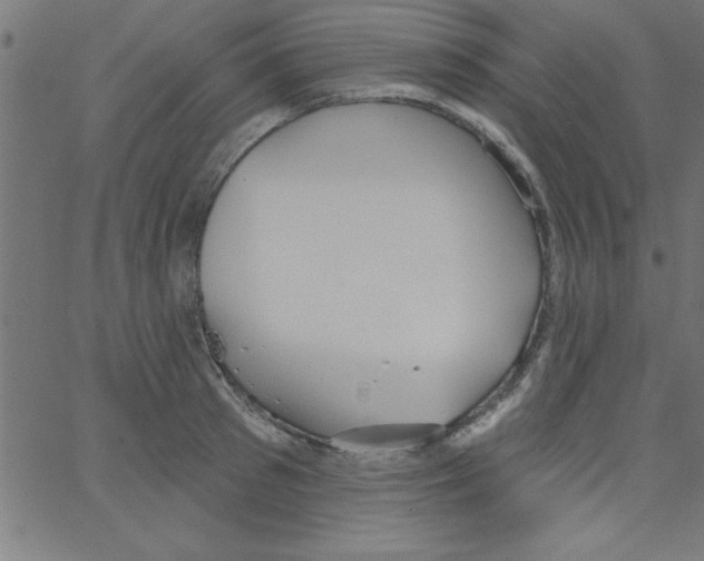 X0000067390897200604281839