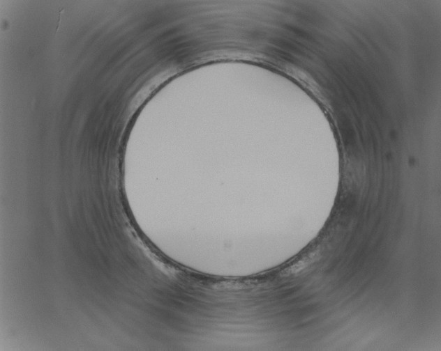 X0000067390898200604281839