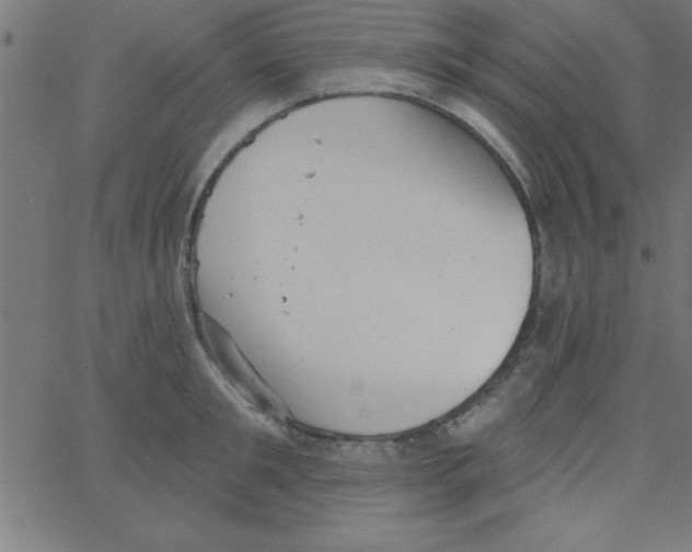 X0000067390901200604281839