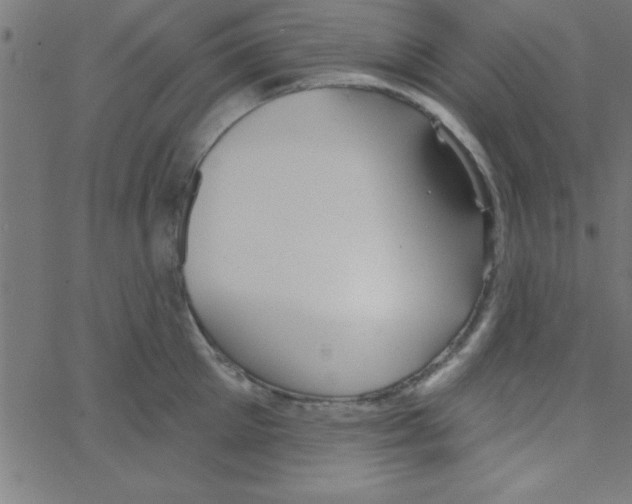 X0000067390905200604281839