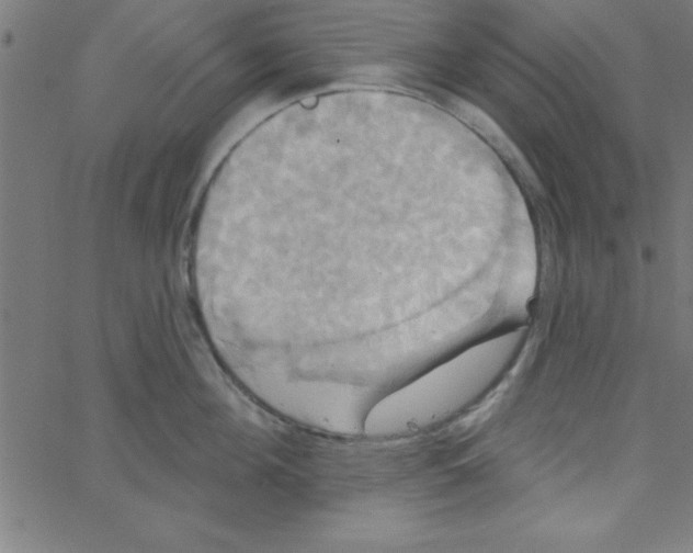 X0000067390908200604281839