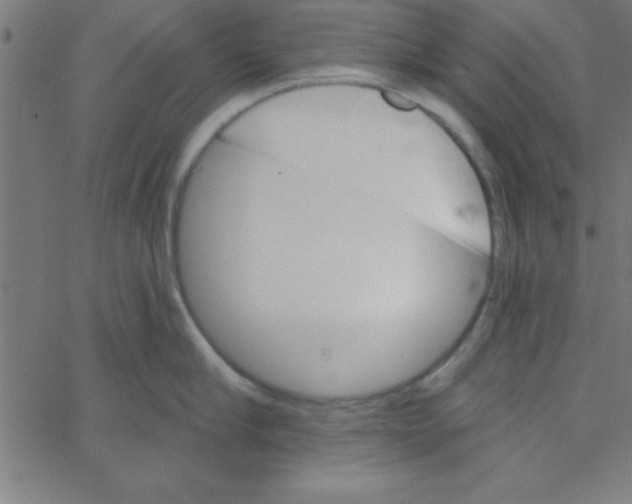 X0000067390910200604281839