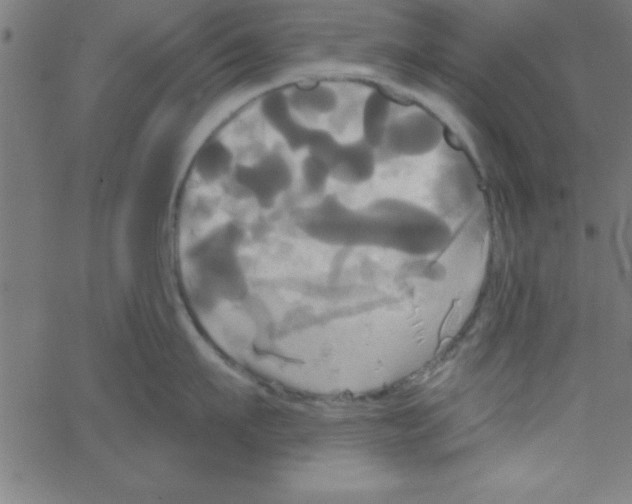 X0000067390911200604281839